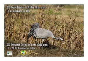 XIII Contagem Ibérica de Grous